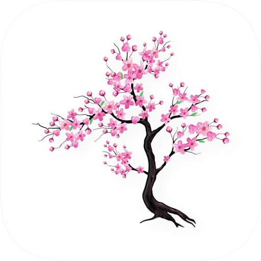 Timefully - Meditation Timer: Recenzija aplikacije